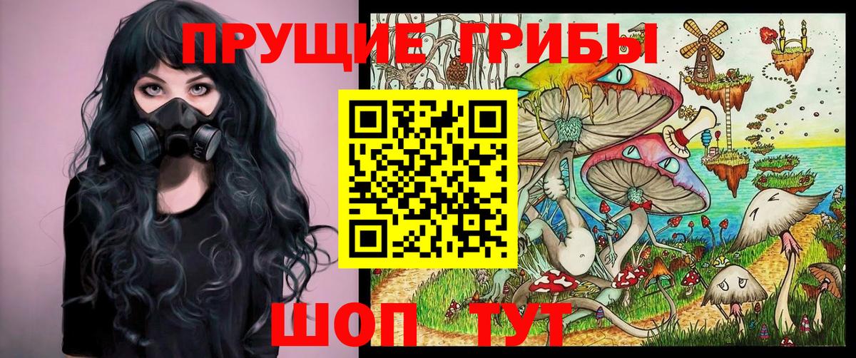 Галлюциногенные грибы Magic Shrooms Тосно